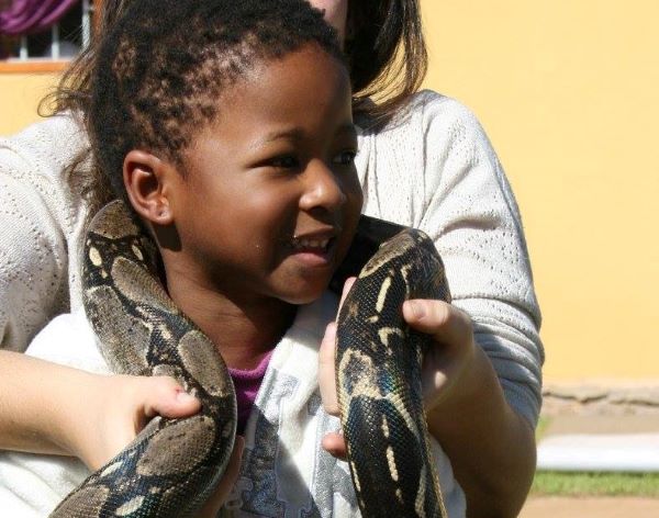 AbacusKidz Educational Shows-34